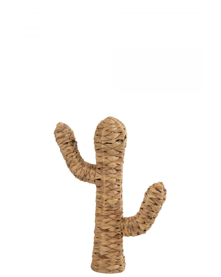 Decoration Cactus Jacynthe/Fer Naturel Small