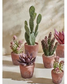 Terracotta Love Plante Artificielle En Pot Synthétique Terracotta Ø 12 X H 16,5C