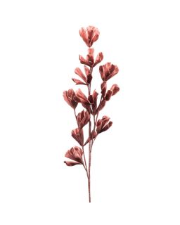 Tige Fleur Anna Terracot H119Cm Eva H119 X L0 X P0Cm