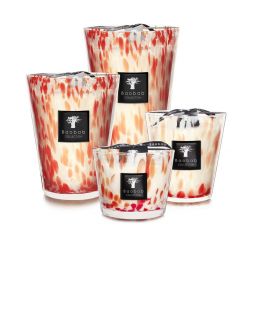 Bougie Baobab, Max 16 Coral Pearls