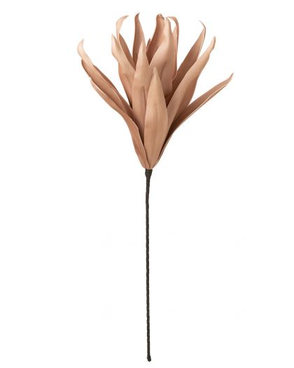 Fleur Branche Feuilles Longues 1 Tete Eva Rose Nude(90x21x15cm)