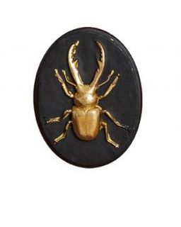 Lot De 3 Deco Murale Abeille Scarabee Lucane