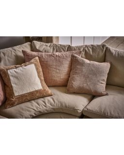  Pioni Coussin Coton L 50 X W 50 Cm Ivoire