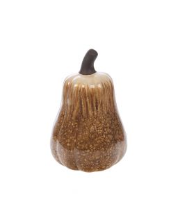 Courge Terracotta Moutarde Taille L