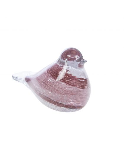 Oiseau Tim Prune Sulfure