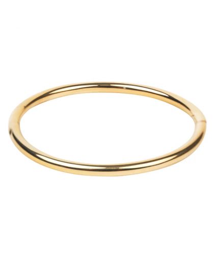 Bracelet À Fermoir En Acier Pvd Doré,Coloris Or Light