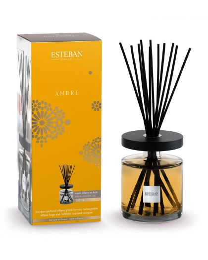 Bouquet Parfume Ellipse Rechargeable 500Ml Ambre