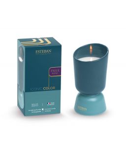 Bougie Parfumee Iconic Color Rechargeable 220G Figue Noire