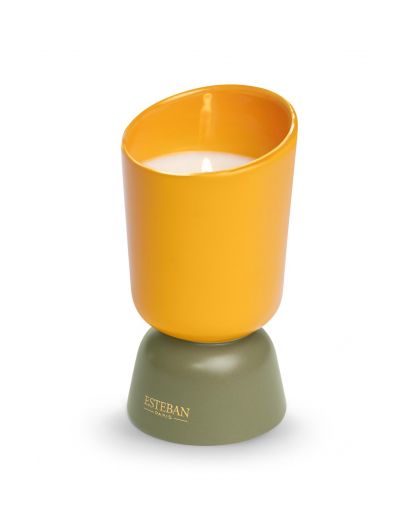 Bougie Parfumee Iconic Color Rechargeable 220G Neroli