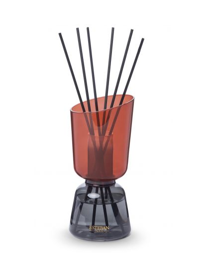 Bouquet Parfume Iconic Color Rechargeable 250Ml Teck Et Tonka