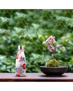 Japan Bouteille Iso 26 Cl