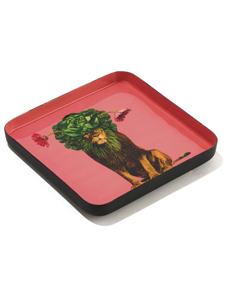 Curiosito Vide Poche Léo