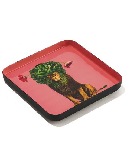 Curiosito Vide Poche Léo