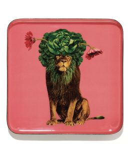 Curiosito Vide Poche Léo