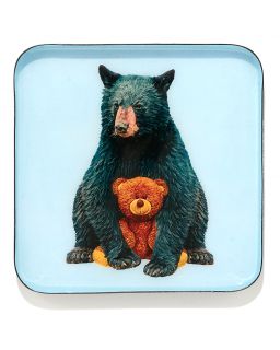 Curiosito Vide Poche Teddy