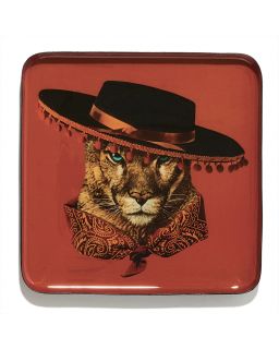 Curiosito Vide Poche Bandino