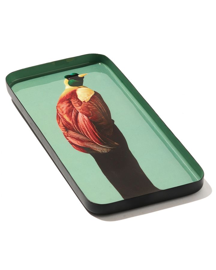 Curiosito Vide Poche Marcello