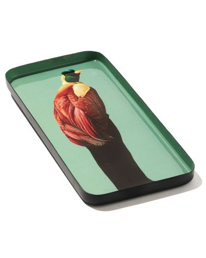 Curiosito Vide Poche Marcello