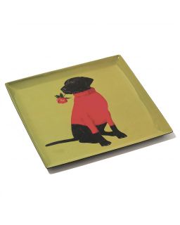 Curiosito Vide Poche Toox