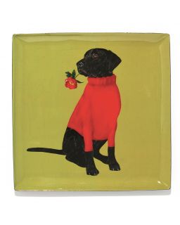 Curiosito Vide Poche Toox