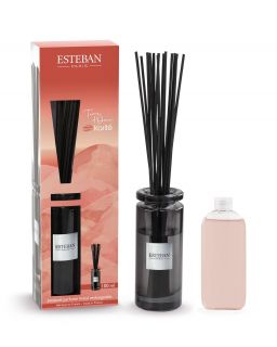 Bouquet Parfume Initial Rechargeable 100Ml Terre D'Ocre Karité