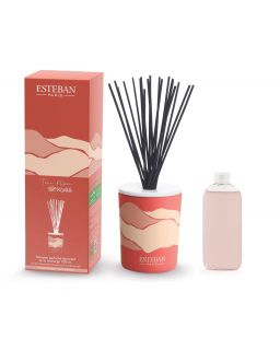 Bouquet Parfume Decoratif Rechargeable 100Ml Terre D'Ocre Karité