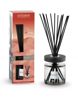 Bouquet Parfume Ellipse Rechargeable 200Ml Terre D'Ocre Karité