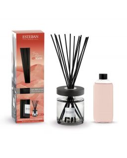 Bouquet Parfume Ellipse Rechargeable 200Ml Terre D'Ocre Karité