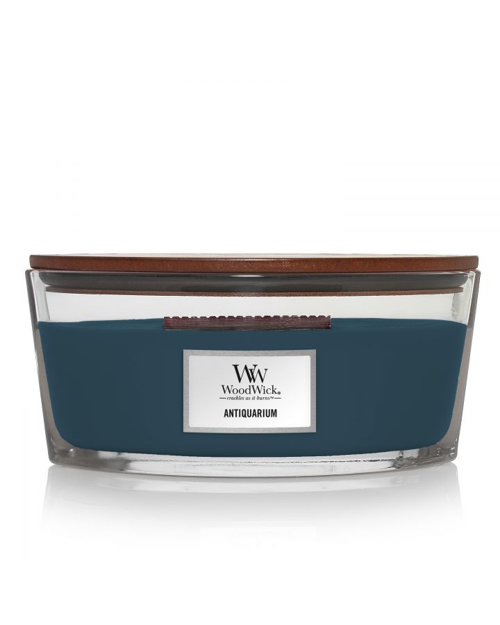 Bougie Antiquarium Ellipse