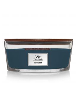 Bougie Antiquarium Ellipse