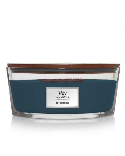 Bougie Antiquarium Ellipse