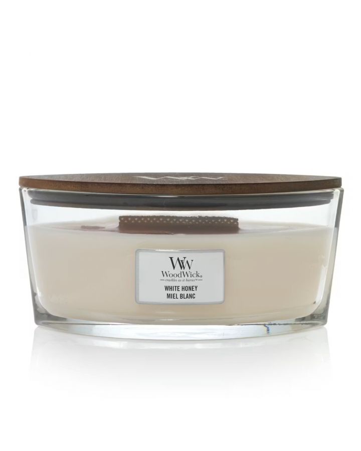 Bougie Miel Blanc Ellipse