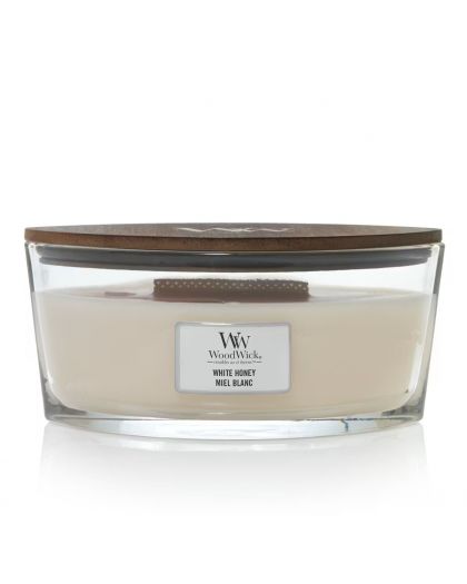 Bougie Miel Blanc Ellipse