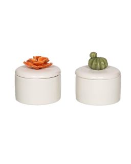 Boite Cactus + Fleurs