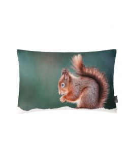  Coussin Gimli Verde 30x50