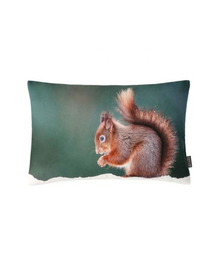  Coussin Gimli Verde 30x50