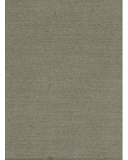 Nappe Papier Uni Vert The 1.60 X 2.40