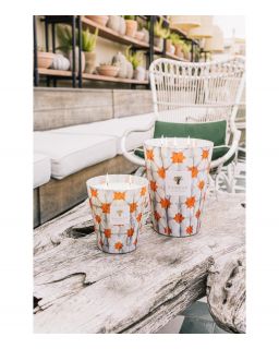 Bougie Baobab, Max 16 Calypso Odyssee