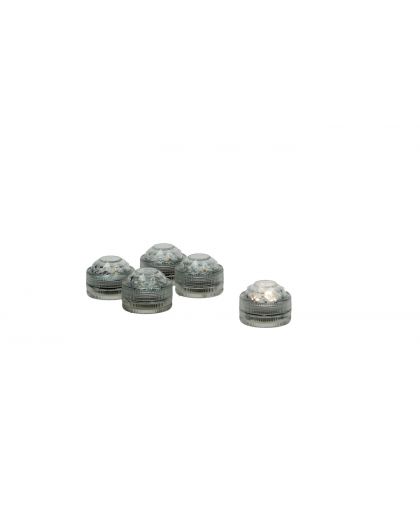  Bright 10 Leds Individuelles Synthétique Ø2,5Cm