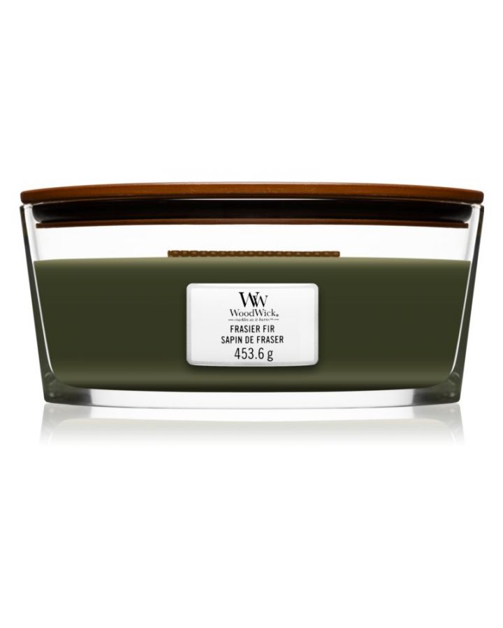Bougie, Ellipse Sapin De Fraser