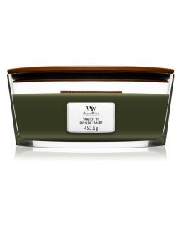 Bougie, Ellipse Sapin De Fraser