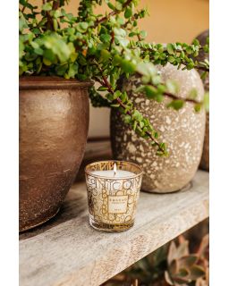 Bougie Baobab, Max One Aurum