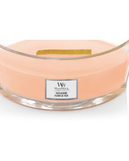 Fleurs De Yuzu Ellipse