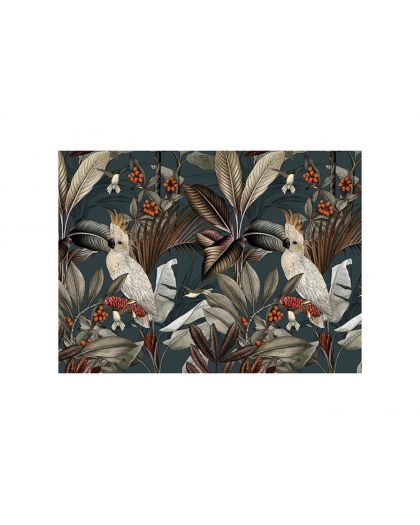 Set De Table Rectangulaire PERROQUET BLANC Y 33X45Cm