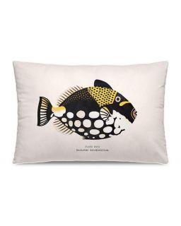 Coussin Rectangulaire Velours Podevache Ce 40X60Cm